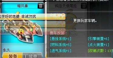 qq飞车黑暗风暴视频,揭秘神秘风暴背后的惊险挑战与炫酷技巧