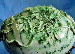 翡翠西瓜视频,探索短视频新潮流的璀璨明珠