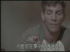 视频情爱,视频中的浪漫瞬间回顾